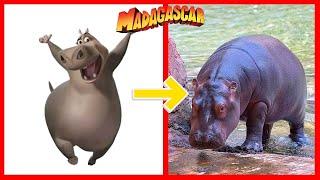 How Madagascar Looks Characters New In Real Life 2024 Part 2