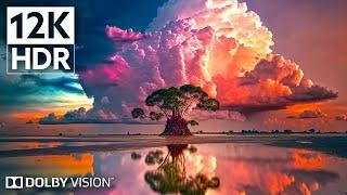 Dolby Vision 12K HDR 240fps  Experience the Unbelievable Nature   8K Earth 