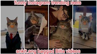 ankit.ang baggad Billa funny dubbing videos part- 9  trending Instagram reels  #baggadbilla #cat