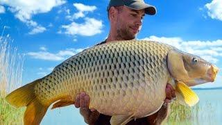 Catch Carp Hungary - Lake Balaton I.