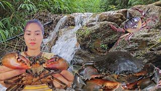 Single mother caught too many giant stone crabs in the deep forest