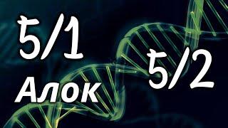 Профиль 51  - профиль 52 - Дизайн Человека - лекция Алока