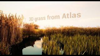 Creating Grass from an Atlas UE5 Houdini Quixel