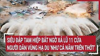 Siêu đập Tam Hiệp bất ngờ xả lũ 11 cửa người dân vùng hạ du như cá nằm trên thớt