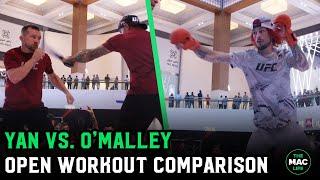 Petr Yan vs. Sean OMalley UFC 280 Open Workout Comparison