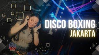 DISCO BOXING JAKARTA  DJ JUNGLE DUTCH 2024 BASS BETON  @mrsixmanagement at VENUE DANCE SCENE