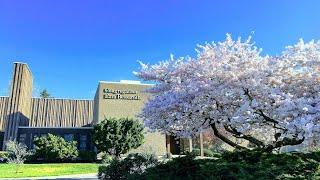 Celebrating Sephardic culture in Seattle