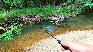 Action Packed Small Creek Fishing