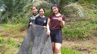 Gadis Dayak  Rela berlumpur menangkap ikan di Sawah