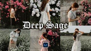 Deep Sage Sage V2 - Lightroom Mobile Presets  Sage Lightroom Preset  Sage Tone  Sage Filter