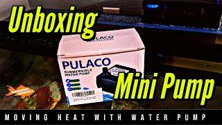 Unboxing  Tiny Water Pump for Heat Dispersal - Pulaco Mini Water Pump Plus Bonus Unboxing