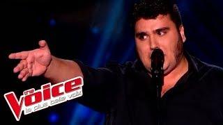 Jacques Brel - Ces gens là  Yoann Launay  The Voice France 2015  Blind Audition