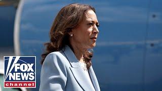 Amazons Alexa takes heat for error praising Kamala Harris