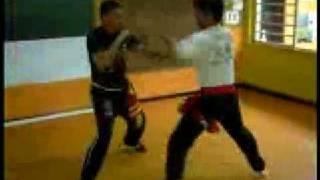 Artes Marciais com MESTRE GOMES NETO Kung Fu Técnicas