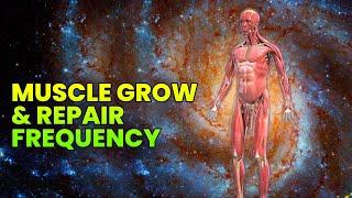 Muscle Growth Subliminal Muscle Healing Frequency Muscle Repair & Recovery Music