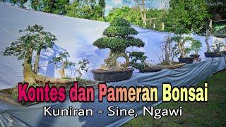 Kontes dan Pameran Bonsai Kuniran Sine Ngawi