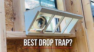 Racing pigeon loft drop trap