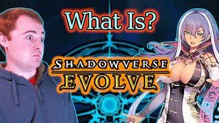 Should you play Shadowverse Evolve?  The Basics You Need to Know