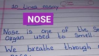 10 Lines essay on Nose   Nose Essay in english  Few Sentences about Nose