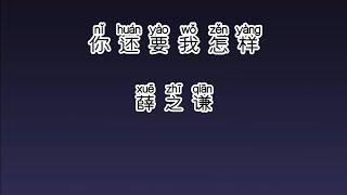 《你还要我怎样》 薛之谦 【高音质歌词版】