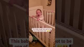 This is the most hilarious baby laugh youve ever heard 