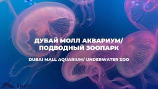 Аквариум в Дубай Молл и подводный зоопарк Dubai Mall + underwater zoo