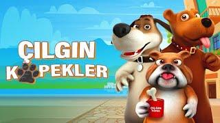 Çılgın Köpekler Animasyon Filmi İzle  Animasyon Filmler