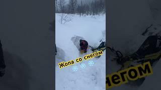 В приисковом снежный коллапс #снегоход