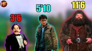 Every Harry Potter Characters Height Ranked From Tallest to Shortest In the Books