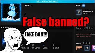 False banned in CS2