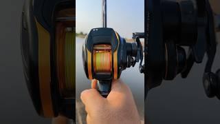 So smooth Daiwa Baitcasting Reels รอกประหลาดเปิดฝาได้  #fishing #shots #daiwareels