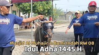 Idul Qurban di Masjid Al Muhajirin Bumi Indah RW 08