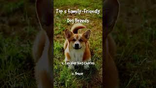  Top 5 Best Family-Friendly Dog Breeds