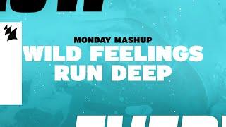 Monday Mashup Wild Feelings Run Deep