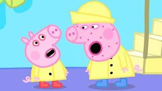 Peppa Pig English Episodes  George Pig Catches a Cold and Peppa Pig is Not Well