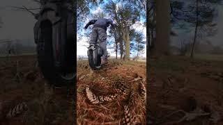 Crunchy Pinecones Underneath - Out for a ride - RS19 #pev #euc #electricunicycle
