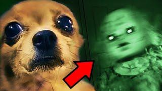 Top 10 SCARY Ghost Videos To Give You PIT STAINS