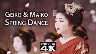 Kyoto Event Kitano Odori Dance Performance 4K