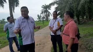 Melihat Varietas Benih dan Bibit Kelapa Sawit di Pusat Penelitian Kelapa Sawit Sumatera Utara