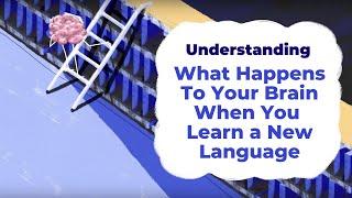 What Happens To Your Brain When You Learn a New Language  Understanding with Unbabel