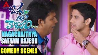 Nagachaithanya and Satyam Rajesh Comedy Scene - Okalailakosam Scenes - Naga Chaitanya Pooja Hegde