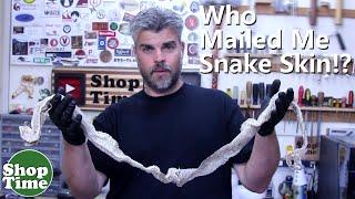 Who Mailed Me Snake Skin?   Dipit #37