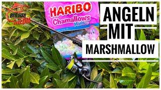 Jetzt wirds CANDY - ANGELN mit Marshmallow