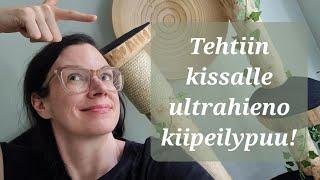 ASMR SUOMI  Tehtiin UPEA kiipeilypuu