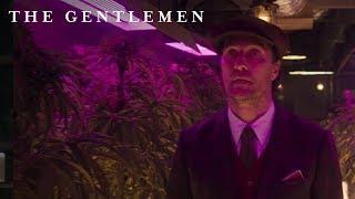 The Gentlemen  “Budding” Digital Spot   Own it NOW on Digital HD Blu-ray & DVD