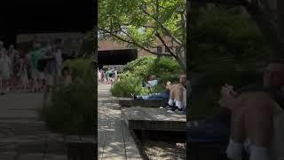 People Relaxing on the High Line