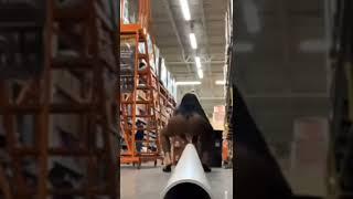 Girl farts down tube