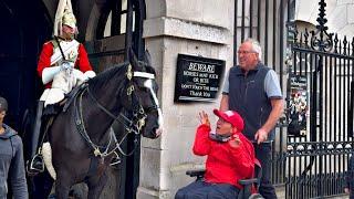 Heart Touching Moment What Kings Horse Did to a Special Tourist