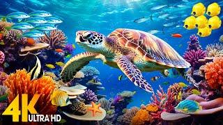 Under Red Sea 4K - Beautiful Coral Reef Fish in Aquarium Sleep Meditation Music - 4K Video UHD #6