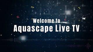  4K Livestream Aquascape with  Relaxing Music  Category  Chill Step